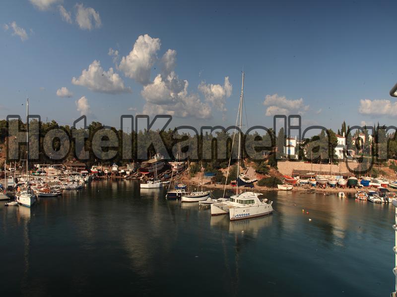 Kamelia Hotel 斯派赛斯 外观 照片